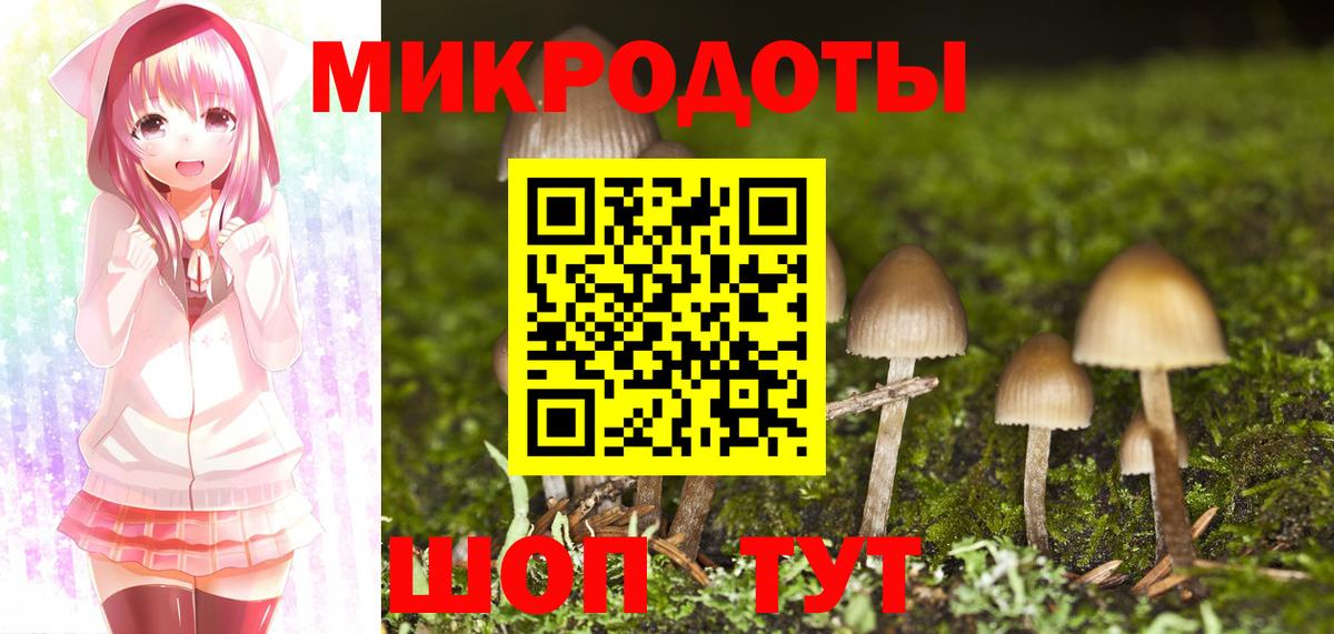 дарнет шоп  Псилоцибиновые грибы GOLDEN TEACHER  Вход с VPN  Ногинск  Галлюциногенные грибы GOLDEN TEACHER 