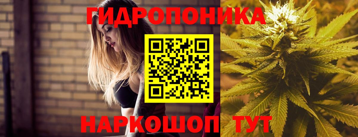 Ногинск  Канабис OG Kush  Марихуана марихуана  Вход с VPN 